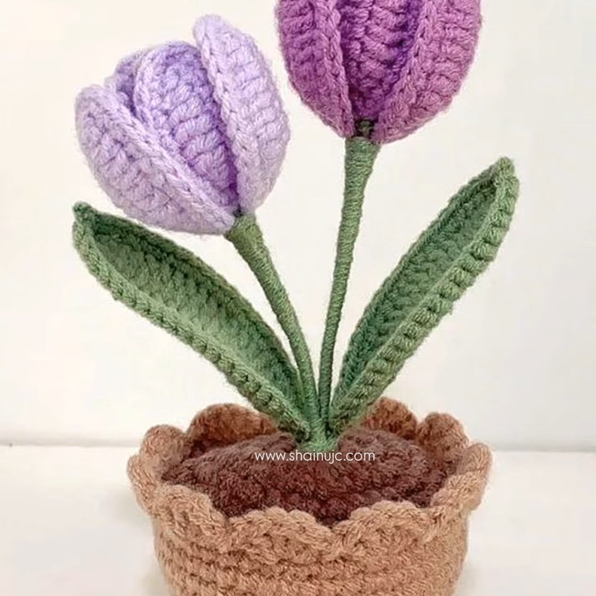 Twin Tulip Leaf Pot