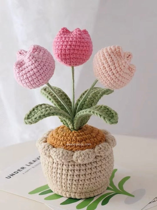 Pink Blossom Tulip Pot