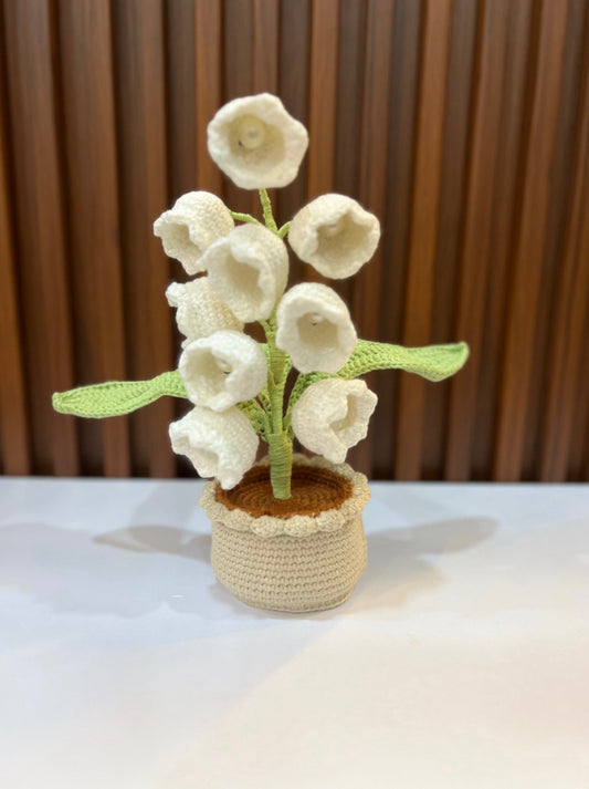 White Lily of The Valley Pot